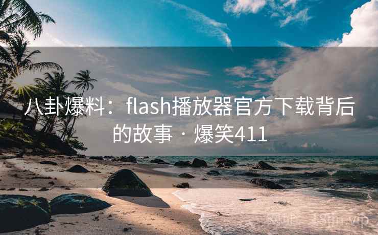 八卦爆料：flash播放器官方下载背后的故事 · 爆笑411