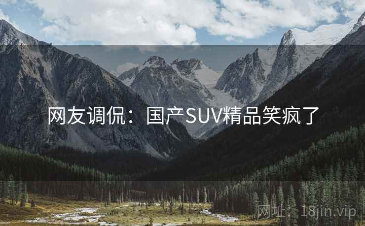 网友调侃：国产SUV精品笑疯了