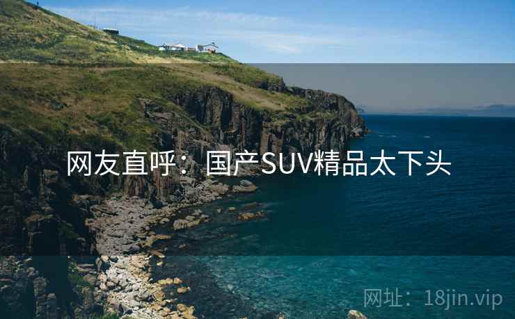 网友直呼:国产SUV精品太下头 网友直呼:国产SUV精品太下头